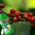 NAWÓZ PŁYNNY MINERALNY UNIWERSALNY DO KAŻDEJ ROŚLINY BIOPON NATURALNY 1L 5955