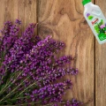 FLOROVIT NAWÓZ WIELOSKŁADNIKOWY PŁYN DO ROŚLIN KWAŚNOLUBNYCH BORÓWEK 1,1KG 5998