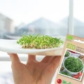 BIO RZEŻUCHA NASIONA NA KIEŁKI EKOLOGICZNE W. LEGUTKO 15g 6031