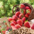 BIO NAWÓZ DO TRUSKAWEK MALIN JEŻYN NATURALNE SOCZYSTE OWOCE FLOROVIT 5L 6034