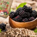 BIO NAWÓZ DO TRUSKAWEK MALIN JEŻYN NATURALNE SOCZYSTE OWOCE FLOROVIT 5L 6035