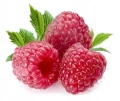 BIO NAWÓZ DO TRUSKAWEK MALIN JEŻYN NATURALNE SOCZYSTE OWOCE FLOROVIT 5L 6040