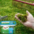 FLOROVIT Z ŻELAZEM NAWÓZ DO TRAWY ZWALCZA MECH W TRAWNIKU 4kg 200m² 6045