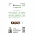 SKORZONERA DUPLEX BRĄZOWA PODOBNA DO SZPARAGÓW NASIONA LEGUTKO 3g 6124