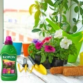 NAWÓZ DO ROŚLIN W DONICZKACH DO ROŚLIN DOMOWYCH WZMACNIAJĄCY BIOPON 500 ml 6216