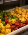 PAPRYKA BARDZO OSTRA CHIŃSKA MAŁA HABANERO ŻÓŁTA LIMON NASIONA LEGUTKO 6220