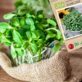 BIO NASIONA SŁONECZNIKA NA KIEŁKI ZDROWE ECO NASIONA LEGUTKO 10g 6236