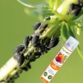 AGROPAK CHILLGARD SPRAY NATURALNE ODSTRASZANIE OWADÓW EKOLOGICZNY 300ML 6352