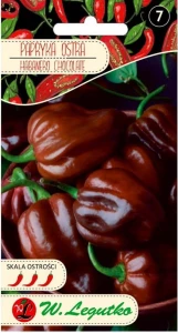 PAPRYKA CHIŃSKA HABANERO CHOCOLATE BARDZO OSTRA CIEMNA NASIONA LEGUTKO
