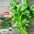 SELER LISTKOWY GREEN CUTTING DO SUSZENIA AROMATYCZNY NASIONA LEGUTKO 0,2g 6390