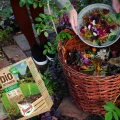 BIO AKTYWATOR KOMPOSTU FLOROVIT PRZYSPIESZACZ KOMPOSTOWANIA KOMPOSTER 500g 6412