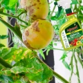 REVUS 250SC RTU GOTOWY SPRAY GRZYBOBÓJCZY NA ZARAZĘ POMIDORA I MĄCZNIAKA 1L 6417