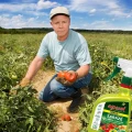 REVUS 250SC RTU GOTOWY SPRAY GRZYBOBÓJCZY NA ZARAZĘ POMIDORA I MĄCZNIAKA 1L 6420
