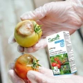 ŚRODEK GRZYBOBÓJCZY SUMIN REVUS 250SC ZARAZ POMIDOR ZIEMNIAK MĄCZNIAK 100ML 6423