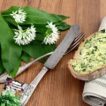 PLANTICO NASIONA CZOSNEK NIEDŹWIEDZI LECZNICZY AROMAT MIODODAJNY 0,5G 6439