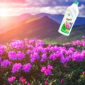 FLOROVIT NAWÓZ WIELOSKŁADNIKOWY PŁYN DO RODODENDRONÓW OBFITE KWITNIENIE 1L 6443