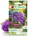 KALAFIOR FIOLETOWY DI SCICILIA VIOLETTO LEKKO PIKANTNY NASIONA LEGUTKO 1g 6478