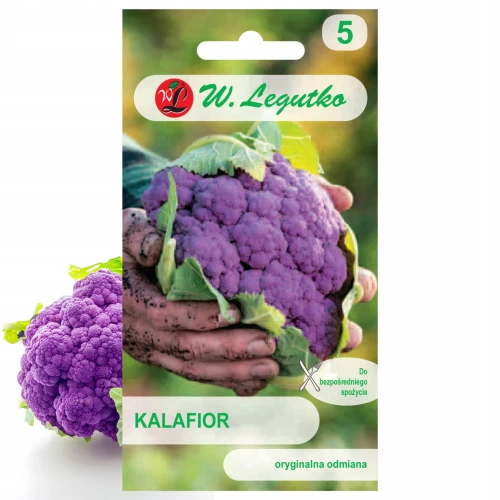 KALAFIOR FIOLETOWY DI SCICILIA VIOLETTO LEKKO PIKANTNY NASIONA LEGUTKO 1g