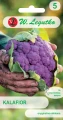 KALAFIOR FIOLETOWY DI SCICILIA VIOLETTO LEKKO PIKANTNY NASIONA LEGUTKO 1g 6479