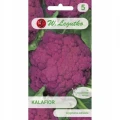 KALAFIOR FIOLETOWY DI SCICILIA VIOLETTO LEKKO PIKANTNY NASIONA LEGUTKO 1g 6480