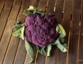 KALAFIOR FIOLETOWY DI SCICILIA VIOLETTO LEKKO PIKANTNY NASIONA LEGUTKO 1g 6483