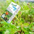 ŚRODEK GRZYBOBÓJCZY SUMIN PROPLANT 722 SL OCHRONA WARZYW I ROŚLIN 100ML 6509