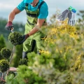 GREENMILL RĘKAWICE OGRODOWE OCHRONNE Z BAWEŁNY DOBRA JAKOŚĆ GR0053 6546