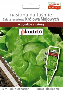SAŁATA MASŁOWA KRÓLOWA MAJOWYCH NASIONA NA TAŚMIE