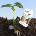 ZAPRAWA DO NASION SUMIN NA SUCHO POWER SEED WARZYWA OWOCE BOGATY SKLAD 5G 6567