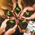 ZAPRAWA DO NASION SUMIN NA SUCHO POWER SEED WARZYWA OWOCE BOGATY SKLAD 5G 6568