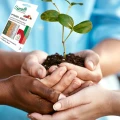 ZAPRAWA DO NASION SUMIN NA SUCHO POWER SEED WARZYWA OWOCE BOGATY SKLAD 5G 6569