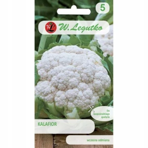 KALAFIOR EARLY SNOWBALL NASIONA LEGUTKO 1g