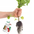 ZAPRAWA DO NASION SUMIN NA SUCHO POWER SEED WARZYWA OWOCE BOGATY SKLAD 5G 6570