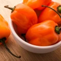 PAPRYKA CHIŃSKA HABANERO ORANGE BARDZO OSTRA MAŁA POMARAŃCZOWA NASIONA 15mg 6608