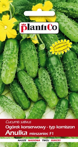 OGÓREK KONSERWOWY ANULKA KORNISZON NASIONA 3g