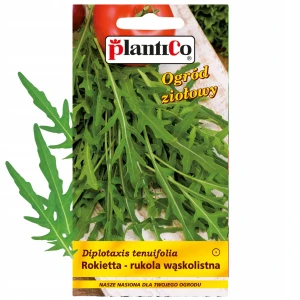 RUKOLA WĄSKOLISTNA ROKIETTA BARDZO SMACZNA NASIONA PLANTICO 500mg