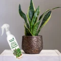 SUMIN ODŻYWKA NAWOZOWA DO ROŚLIN ZIELONYCH JUKA DRACENA PALMA FIKUS 300ML 6628