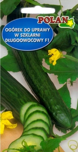 OGÓREK DŁUGI CARUSO POD OSŁONY NASIONA 500mg