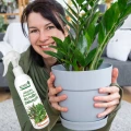 SUMIN ODŻYWKA NAWOZOWA DO ROŚLIN ZIELONYCH JUKA DRACENA PALMA FIKUS 300ML 6630
