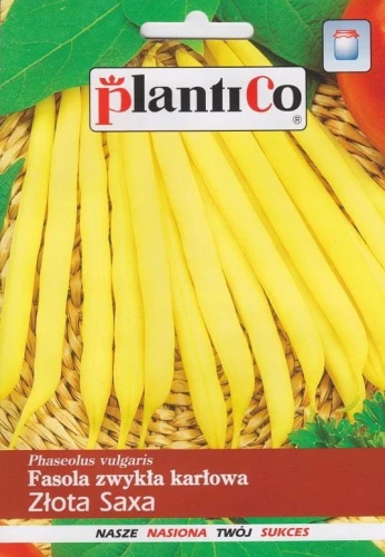 FASOLA ZŁOTA SAXA KARŁOWA SZPARAGOWA ŻÓŁTA 48g