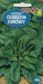 SZPINAK OLBRZYM ZIMOWY NASIONA POLAN 10g 6642