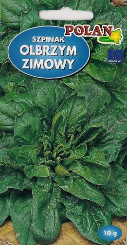 SZPINAK OLBRZYM ZIMOWY NASIONA POLAN 10g