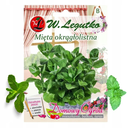 W. LEGUTKO DOMOWY OGRÓD NASIONA WIELOLETNIE MIĘTA OKRĄGŁOLISTNA 0,1G