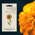 NAGIETEK LEKARSKI POMARAŃCZOWY NASIONA VINTAGE LEGUTKO WYSIEW KWIECIEŃ 2g 6661