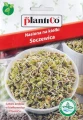 PLANTICO SOCZEWICA NASIONA KIEŁKI BOGACTWO WAPNIA FOSFORU ŻELAZA 30g 6712