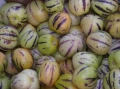 PEPINO OWOC O SMAKU MELONA LUB MANGO NASIONA LEGUTKO 0,01g 6738
