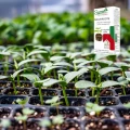 SUMIN MULTIROOTS AKTYWUJE PROCES UKORZENIANIA SADZONKI NAWÓZ PŁYNNY 0,1KG 6758