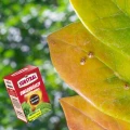 POLYSECT 005SL NATUREN MSZYCE PRZĘDZIORKI TARCZNIKI ĆMĘ BUKSZPANOWĄ 100ML 6798