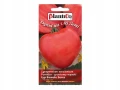 POMIDOR BAWOLE SERCE OXHEART WYSOKI MIĘSISTY DUŻY NASIONA PLANTICO 200mg 6885