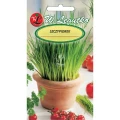 SZCZYPIOREK WIELOLETNI MEDIUM LEAF AROMATYCZNY NASIONA W.LEGUTKO 2g 6925